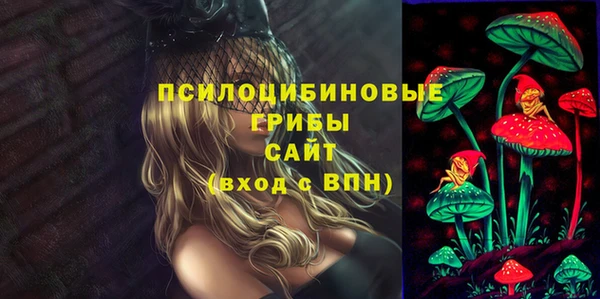прущие крисы Армянск