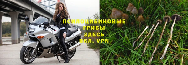 прущая мука Арсеньев
