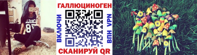 Псилоцибиновые грибы Cubensis  Ивантеевка 